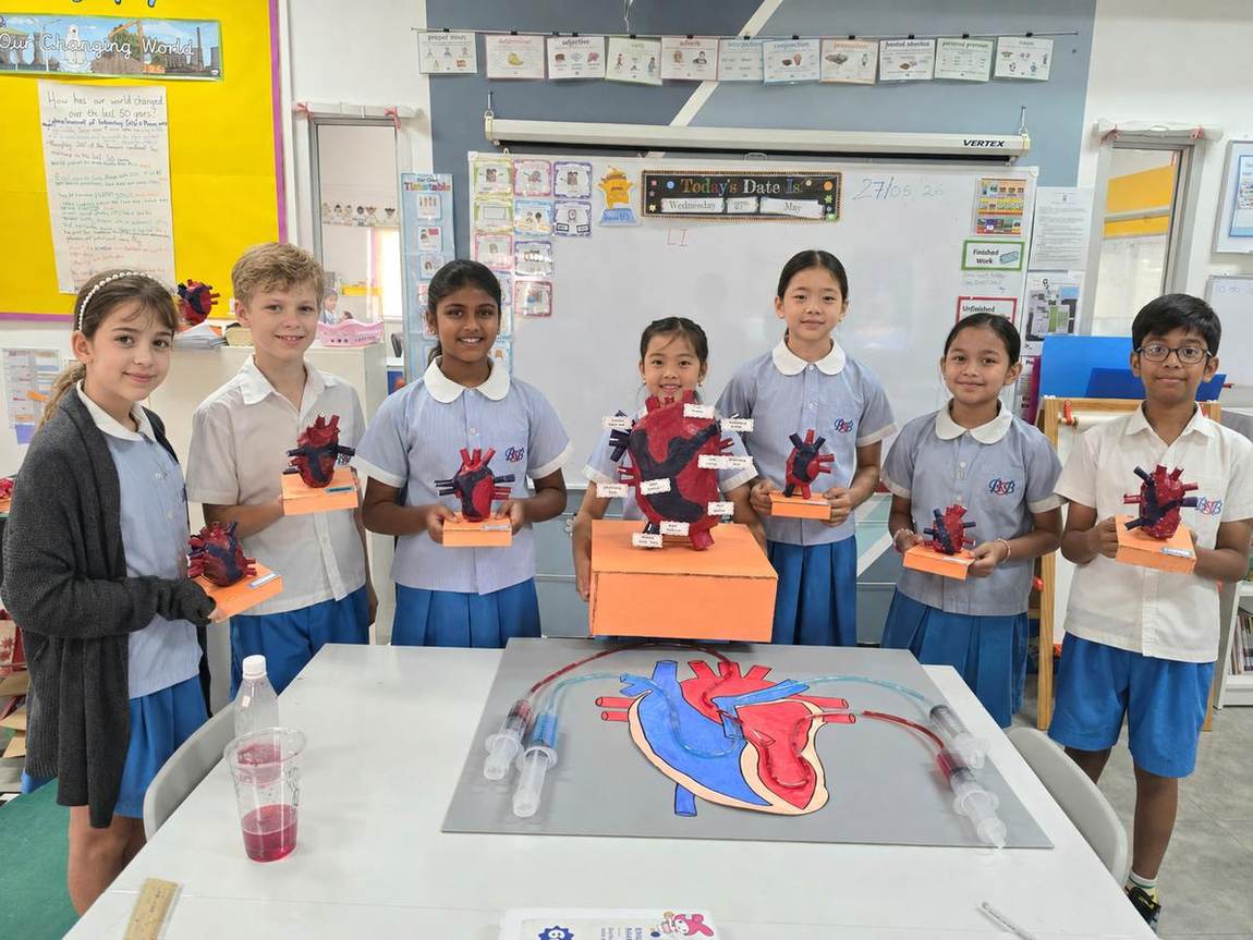 Students presenting their model heart science projects